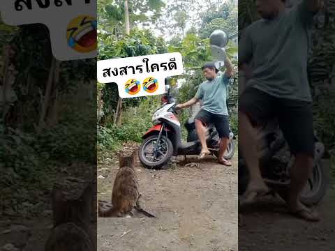 จะสงสารใครก่อนดี🤣🤣#กรรมตามทันจริงๆ🤣🤣