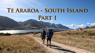 Te Araroa - South Island NOBO (part 1)