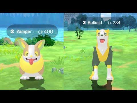 Finally 🥰 Yamper & Boltund in pokemon go.