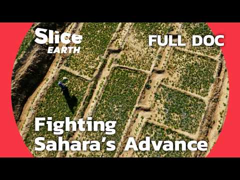 YouTube video thumbnail: Stopping the Sahara: Morocco and Senegal's Environmental Battle