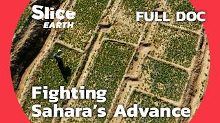 YouTube video thumbnail: Stopping the Sahara: Morocco and Senegal's Environmental Battle