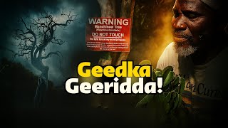 Geedkan haddii aad taabatid waad dhimanaysaa! Geedka ugu halista badan Aduunka! Tufaaxa geeridda!
