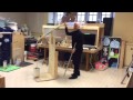 Understanding Mechanical Advantage Concepts