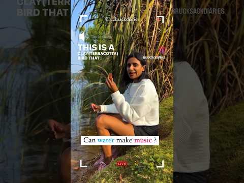 Can water make music ? #makeinindia