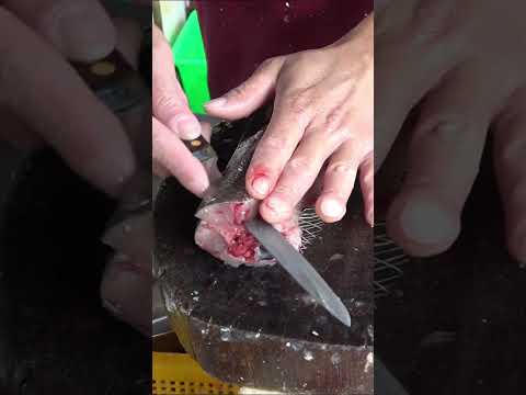 Taiwan's Fastest Fish Fillet Masters: Unleashing Insane Milkfish Precision!