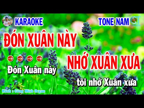 Karaoke Đón Xuân Này Nhớ Xuân Xưa Tone Nam | Nhạc Sống 2025