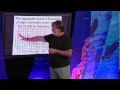 Underwater Acoustic World of Whales and Dolphins