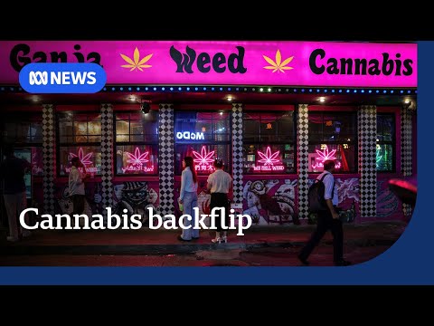 Thailand set to reverse de-criminalisation of cannabis | The World | ABC NEWS