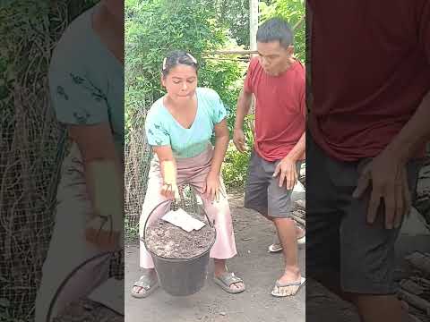 เสดข่อยแท้บัดนิ #คนไทยเป็นคนตลก55555 #funny #funnyshorts