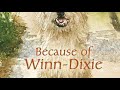 Opal and Winn-Dixie's Store Adventure