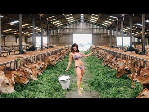 EXPOSED: The Secret Life of Modern Farmers — What Corporations Are Hiding 🕵️‍♀️🌽