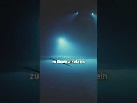 Wie tief tauchen Haie? | Robert Marc Lehmann