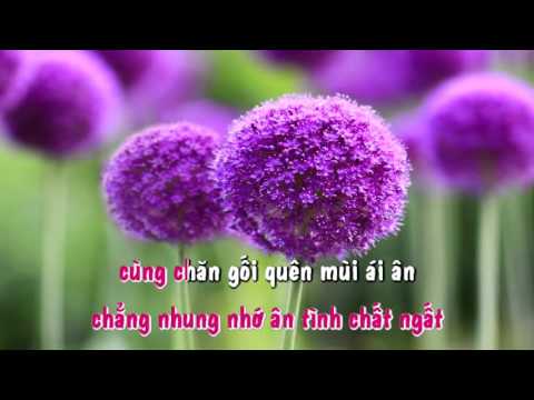 Karaoke_CHIA TAY RIMEX