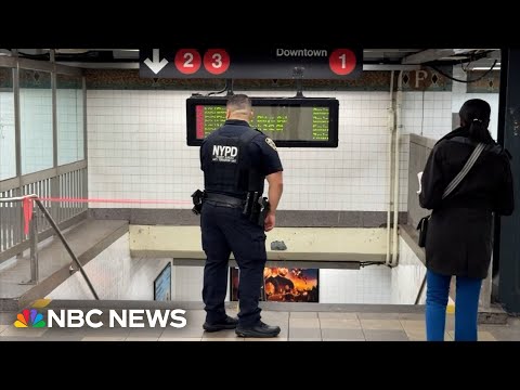 YouTube video thumbnail: Officials Look for Woman After Newborn Abandoned on NYC Subway Platform