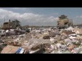 Understanding Food Waste and Its Impact