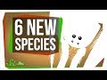 Unique Animal Adaptations and Ecosystems