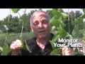 Integrated Pest Management Concepts