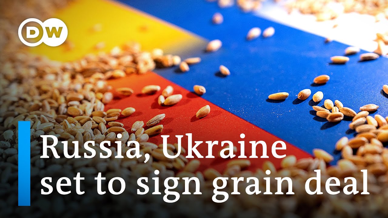 Grain export deal would ease global food crisis – What does the deal look like?