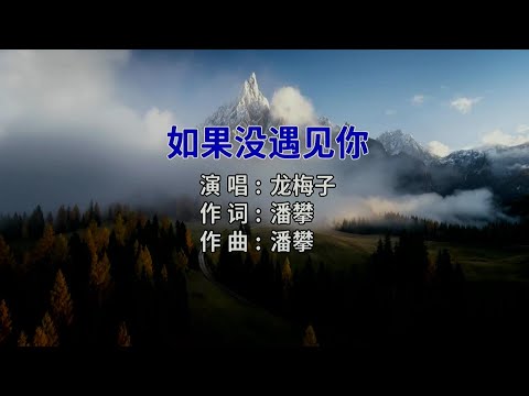 如果沒有見你-龙梅子-伴奏 KARAOKE