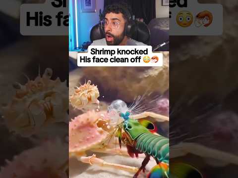 Shrimp Turned Into One Punch Man 🥊😳