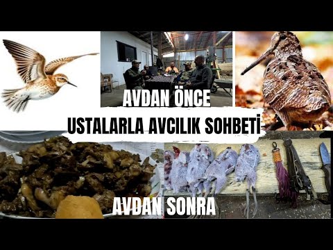 Avcılık - Sezonun Av Yemeği Çulluk - Hunting