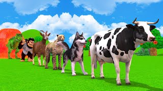 Paint & Animals Duck,Cow,Gorilla,Leopard,Dinosaur 3D Animals Fountain Crossing Transformation New