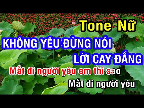 KARAOKE Không Yêu Đừng Nói Lời Cay Đắng Tone Nữ | Nhan KTV