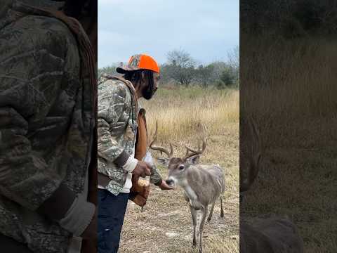 Deer hunters paradise! 🦌