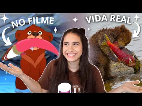 Como são os animais de Irmão Urso na vida real?