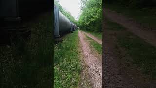 thought I found a shortcut, just an endless dirt road #nature #hike #markeddown #formatting