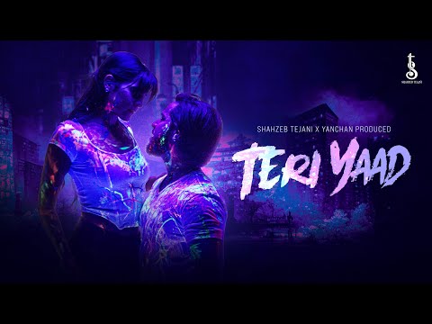Teri Yaad - Official Music Video | Shahzeb Tejani X Yanchan Produced | Bin Kahe Album