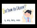 Plural Nouns and Their Forms