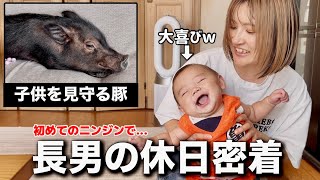 【休日密着】長男がはじめてのニンジンを食べたら...まさかのリアクションw家族全員で離乳食を全力サポート！