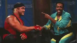 RIP Hulk Hogan (1953-2025) - The Legendary Journey from Hulkamania to WWE Immortal Icon