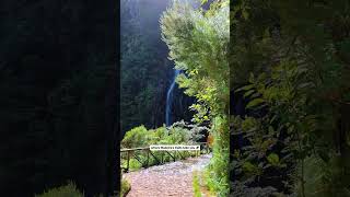 Looking for the Risco Waterfall in Madeira? 🌿