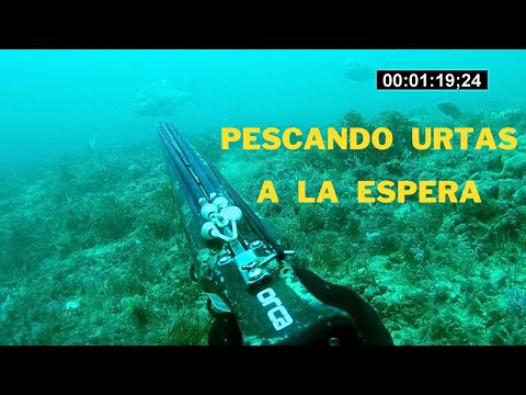 pescando urtas con Olivier Simon