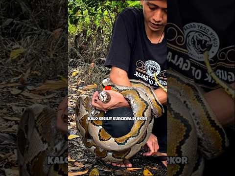 ILMU YANG SANGAT BERMANFAAT BUAT KALIAN SEMUA YANG NONTON