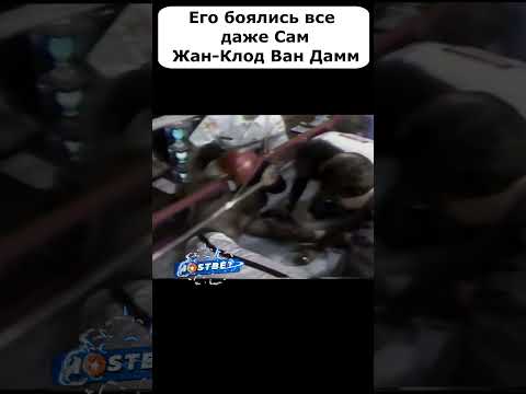 Самый опасный боец по прозвищу "ТЕРМИНАТОР" с рекордом 68-2 ? #shorts