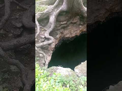 at monfront bat cave samal island Davao City.......