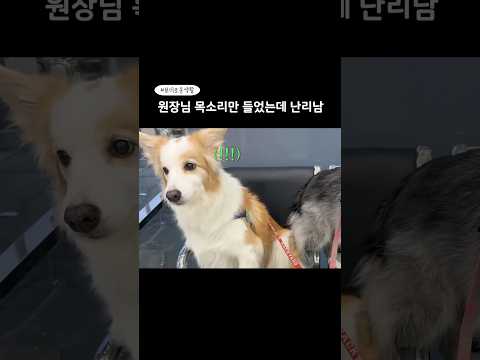 세상에서 제일 무서운 사람 = 원장님