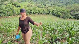 Será Mi Segundo Embarazo 😱// La Milpa Tiene Gusanos😕