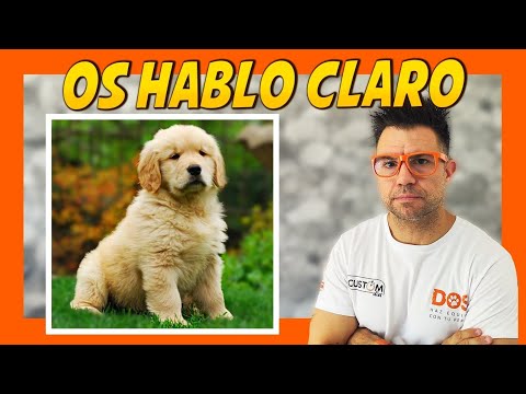 EDUCAR a tu PERRO con ADIESTRADOR CANINO 🐶🤔 | 3 CLAVES ‼️