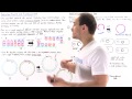 Recombinant DNA and Restriction Enzymes