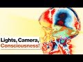 Understanding Consciousness and Perception