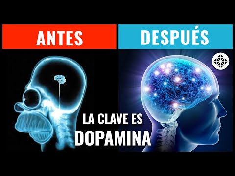 Cómo Ser Más Disciplinado • Domina tu DOPAMINA y Construye Motivación