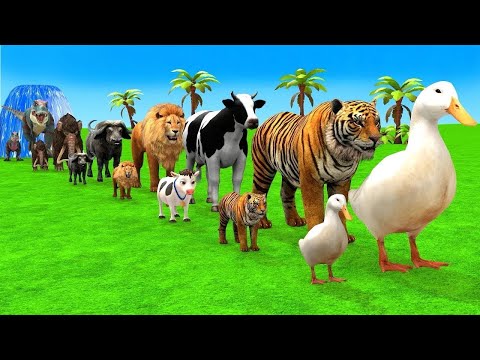 Long Slide Game With Cow Elephant Gorilla Hippopotamus Tiger - 3d Animal Game - Funny 3d Animals