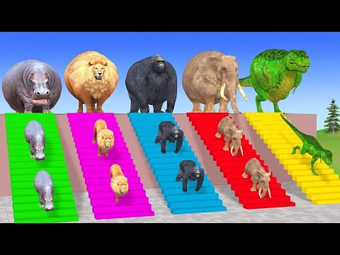لبيك اللهم لبيك | تكبيرات العشر من ذي الحجة |تكبيرات يوم عرفه-تكبيرات عيد الأضحى🌷💛