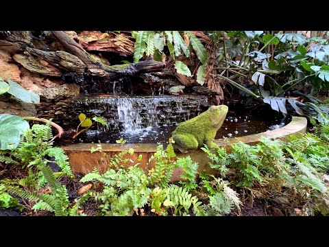 Waterfall Sounds for Meditation & Relaxation | Soothing Nature Sounds (30 minutes)