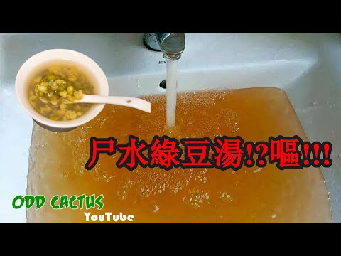 新加坡超噁水箱之謎! 700人吃了*尸*水煮出來的綠豆湯｜真實案件