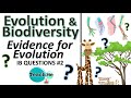 Homologous and Analogous Structures in Evolution